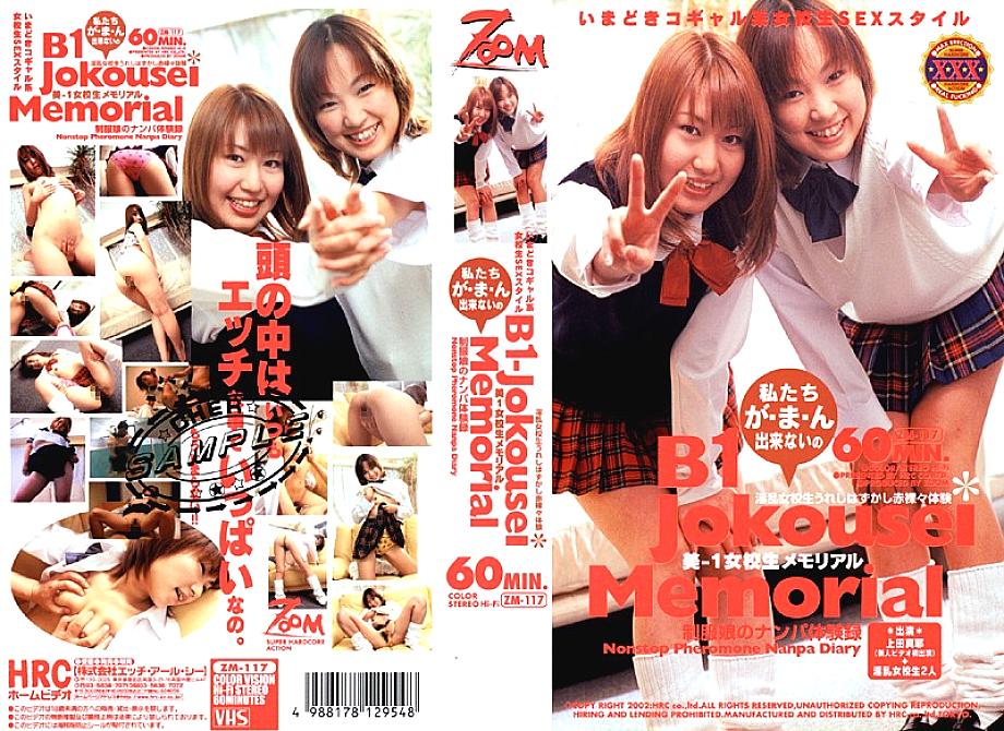 ZM-117 DVD封面图片 