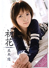 ADZ-095 Sampul DVD