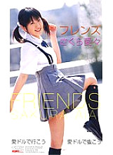 KT648 Sampul DVD