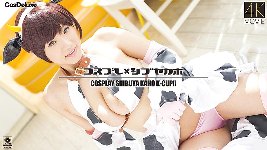 CSDX-001 DVD封面图片 