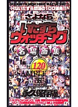 HG-81 DVDカバー画像