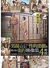 IBW-744 DVD Cover