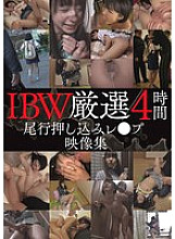 IBW-01002 DVDカバー画像