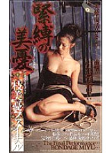 BA-020 DVD Cover