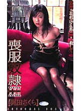 DD-041 DVD Cover