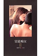 GA-101 DVD封面图片 