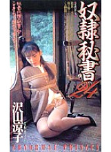 VS-544 DVDカバー画像