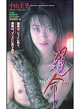 FE-008 Sampul DVD