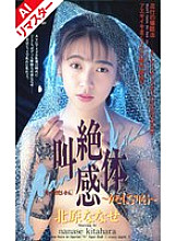 FE-021 DVDカバー画像