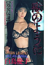 FE-026 Sampul DVD