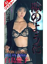 FE-026 DVD封面图片 