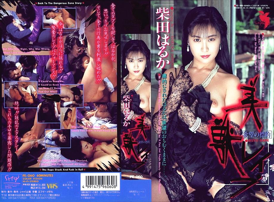 FE-060 Sampul DVD