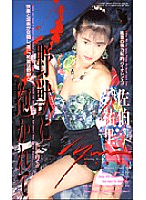 FE-067 DVD封面图片 