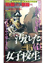 FE-165 DVDカバー画像