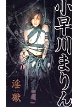 FE-525 Sampul DVD