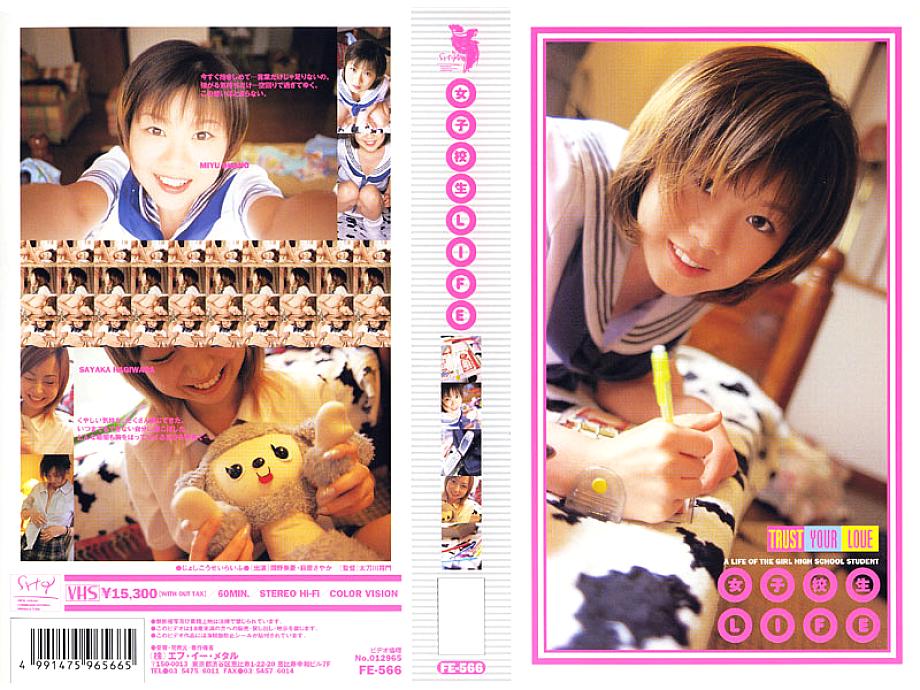 FE-566 DVDカバー画像