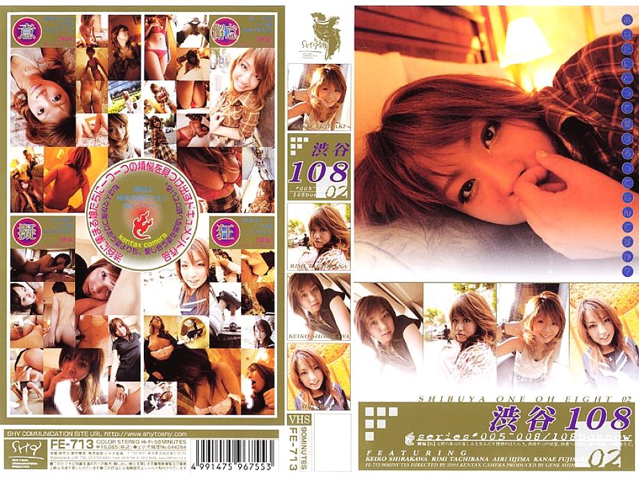 FE-713 Sampul DVD
