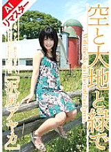 SHY-014 DVD Cover