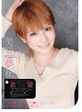 SHY-008 DVD封面图片 