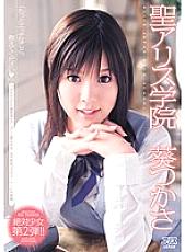 DV-01205 DVDカバー画像