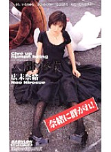 KR-9142 DVD封面图片 