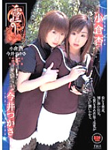 ID-12048 DVDカバー画像