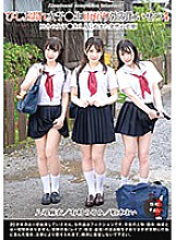 T-2800570 Sampul DVD
