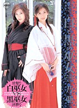 TWD-193 DVDカバー画像