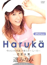 SXD-126 DVD Cover