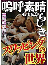 MCSR-48102 DVDカバー画像