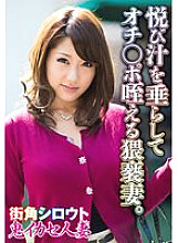 SGSR-33503 DVD封面图片 