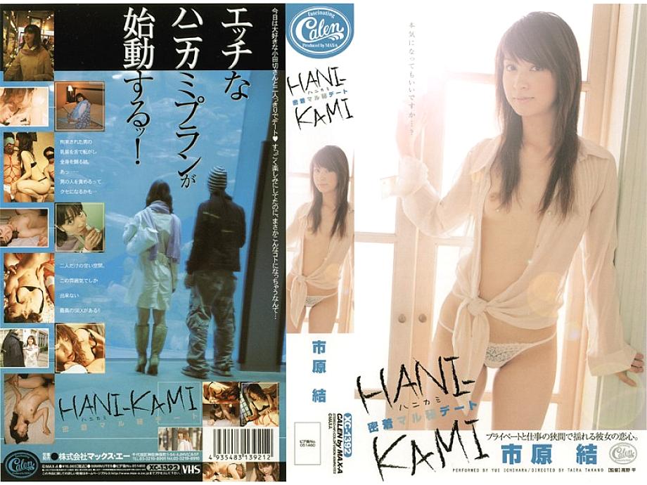XV-264 Sampul DVD