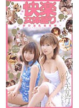 BR-087 DVD封面图片 