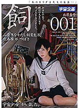 MDTM-218 DVD封面图片 