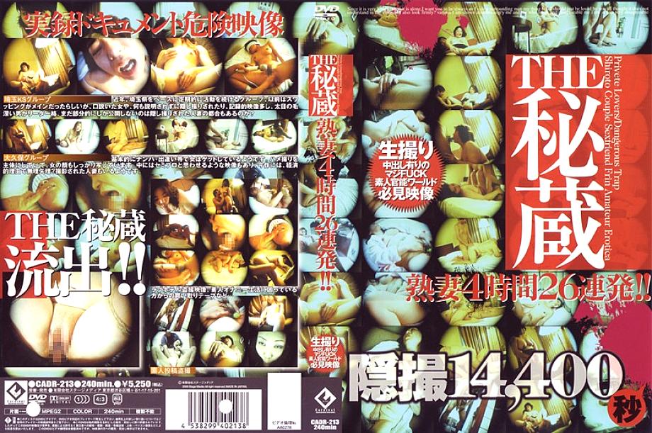 CADR-213 DVD封面图片 