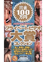 PZ-133 DVDカバー画像