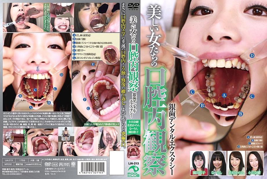LIA-213 Sampul DVD