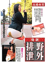 PSI-406 DVDカバー画像