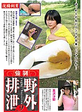 PSI-430 DVD封面图片 