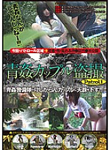 GODR-433 DVD封面图片 