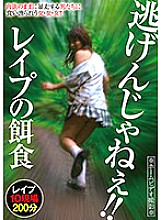 GODR-1000 DVDカバー画像
