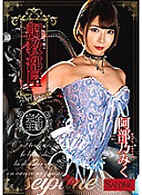 SALO-017 DVD封面图片 
