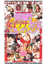 SE-217 DVD封面图片 
