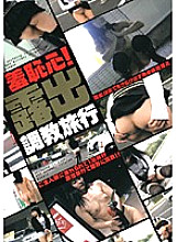AXDVD-17 DVD封面图片 