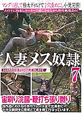 AXDVD-321 DVDカバー画像