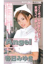 AN-116 Sampul DVD