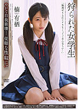 APNS-290 DVD Cover