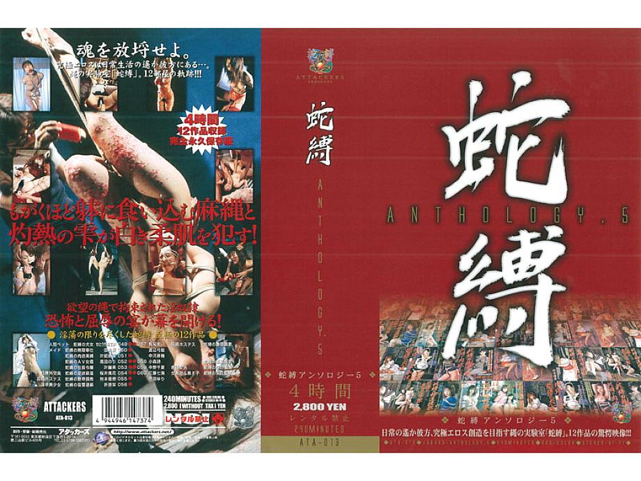 ATA-013 DVD Cover