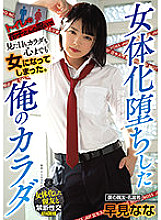 ATID-486 DVD封面图片 