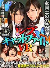 BBVR-011 DVDカバー画像